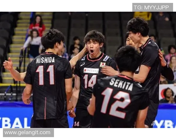 成都排球队的节奏与战术分析探索排球竞技的新境界