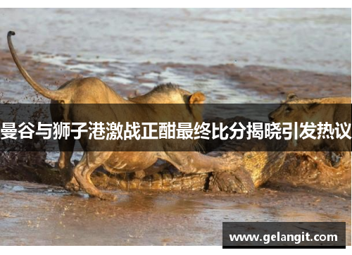 曼谷与狮子港激战正酣最终比分揭晓引发热议