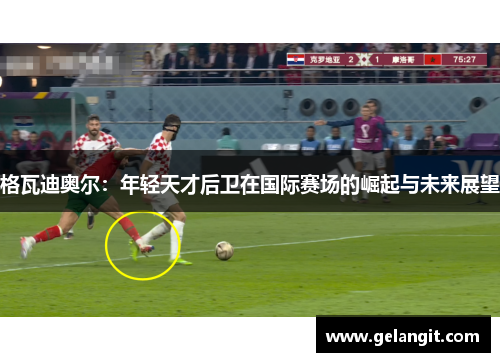 格瓦迪奥尔：年轻天才后卫在国际赛场的崛起与未来展望